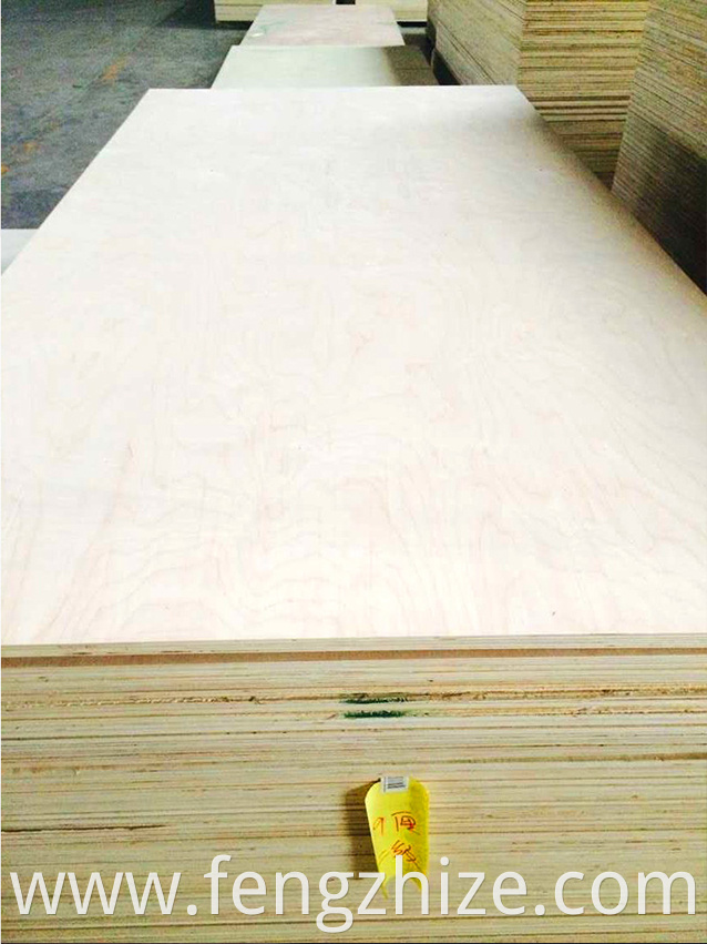 MAPLE FANCY PLYWOOD